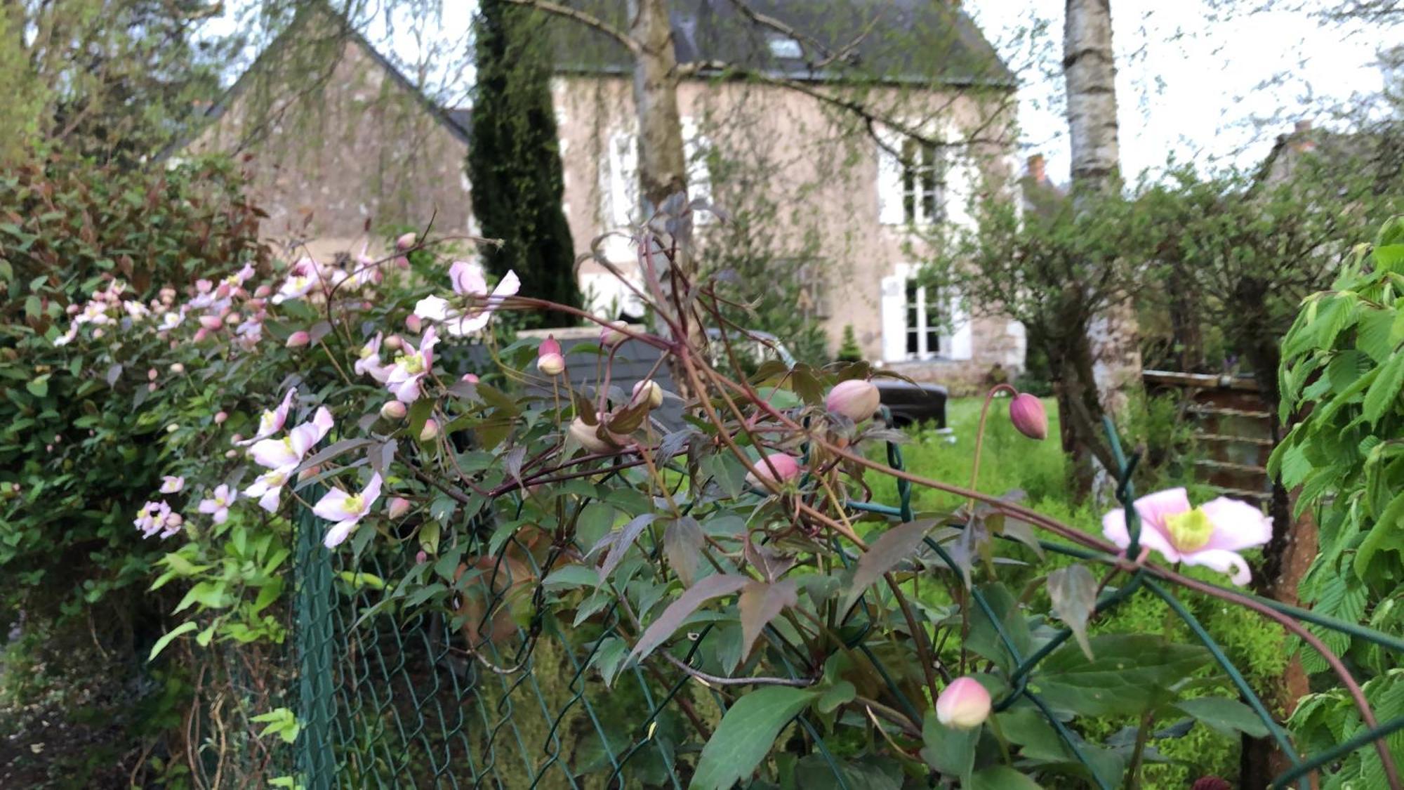 La Thibautiere Bed & Breakfast Blaison Eksteriør bilde