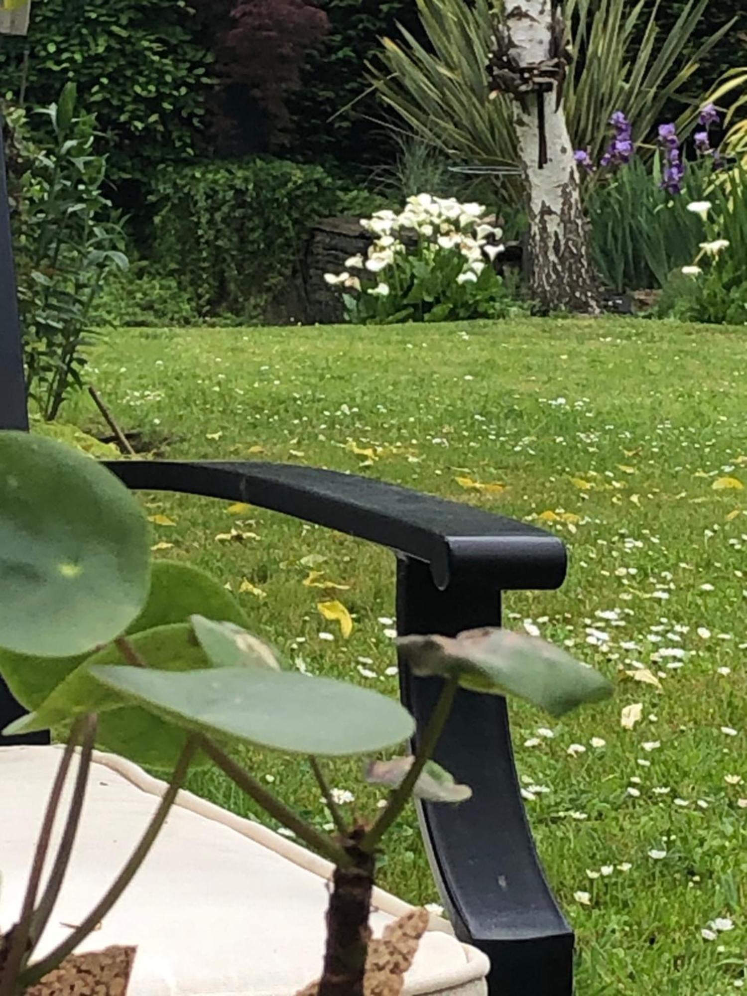 La Thibautiere Bed & Breakfast Blaison Eksteriør bilde