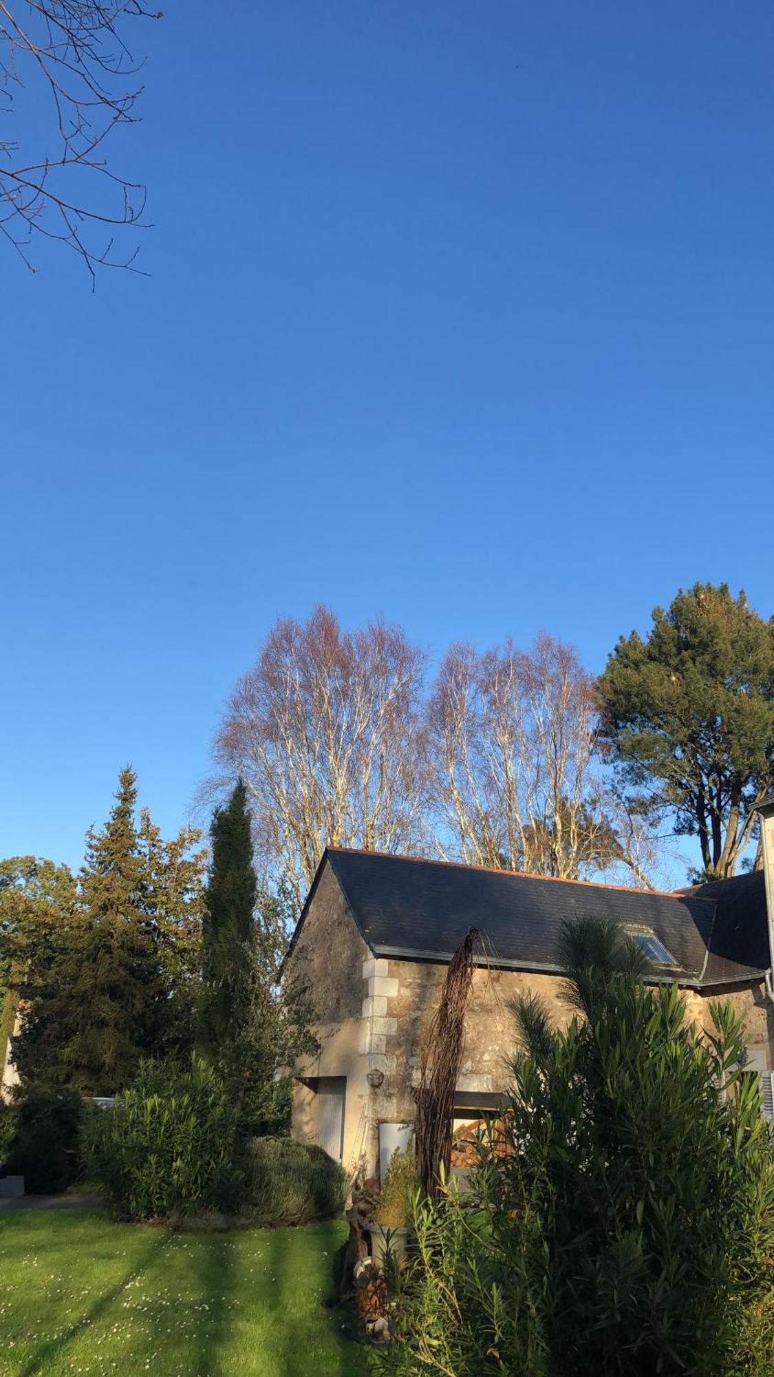 La Thibautiere Bed & Breakfast Blaison Eksteriør bilde